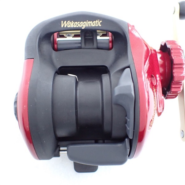 ０９ワカサギマチックＲ